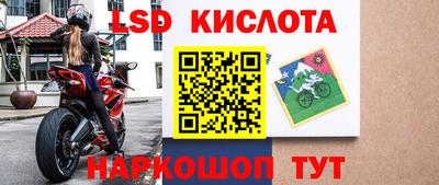 прущие грибы Коммунар